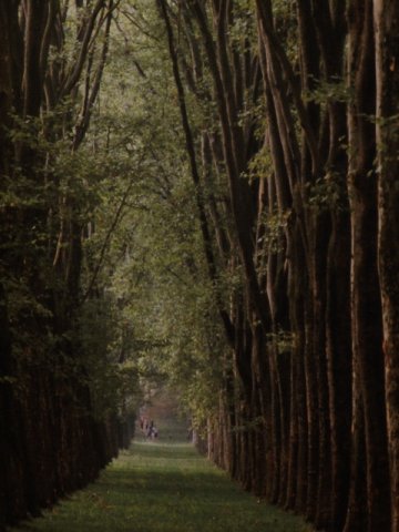 Magyar kultúra napja 2018 28